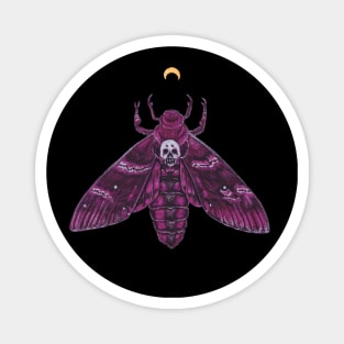 Pink Death Head Moth Magnet